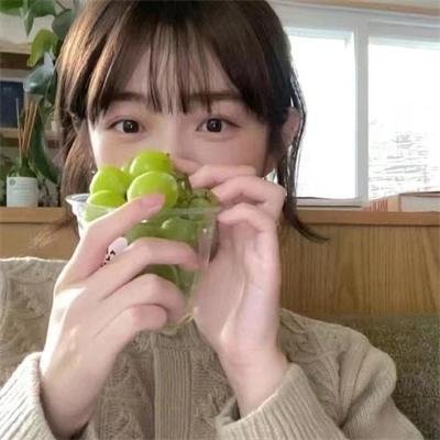 与狼共谋